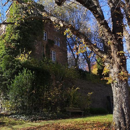 Ferienwohnung Eifelblick Schleiden Exterior foto