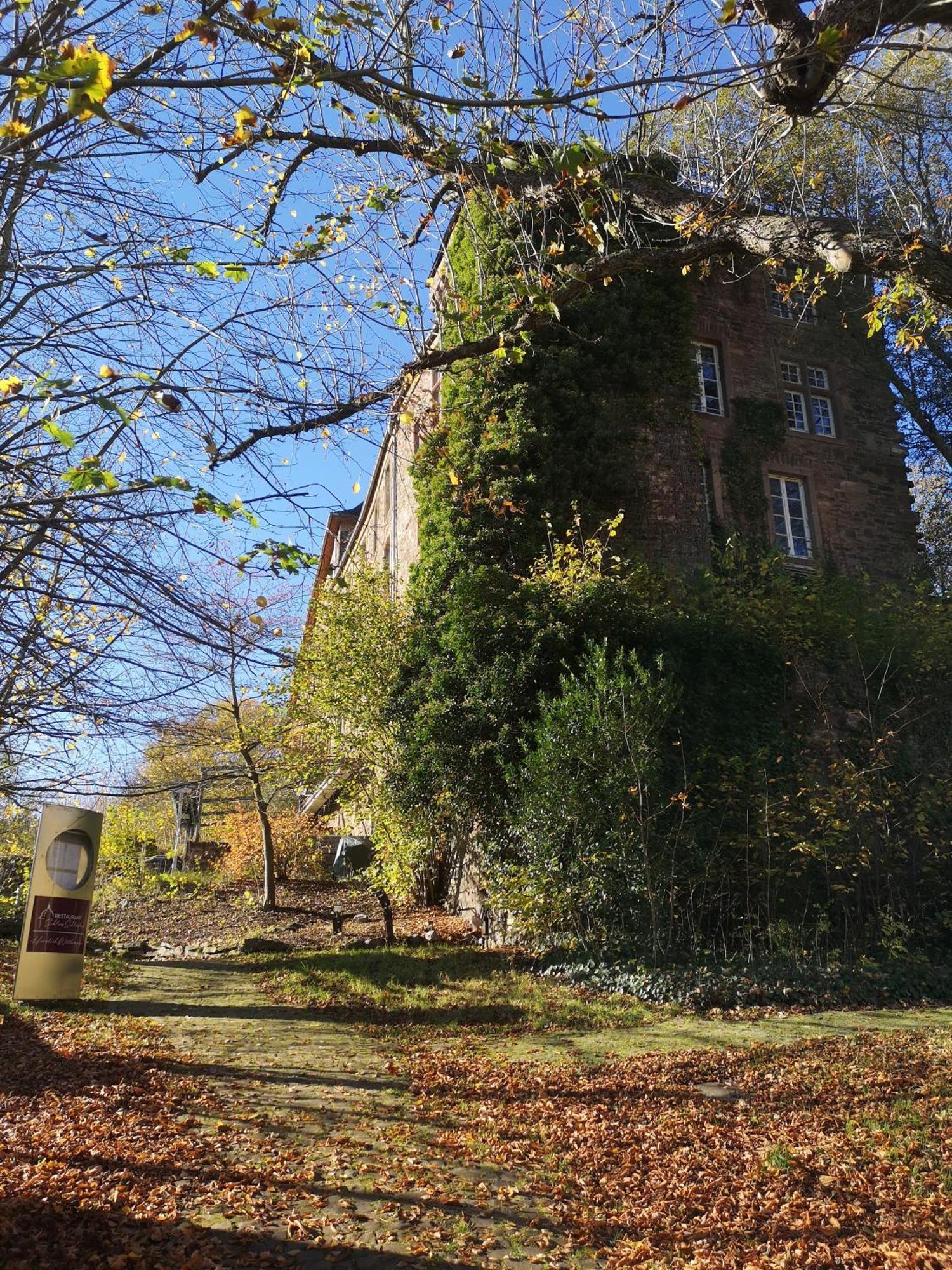 Ferienwohnung Eifelblick Schleiden Exterior foto