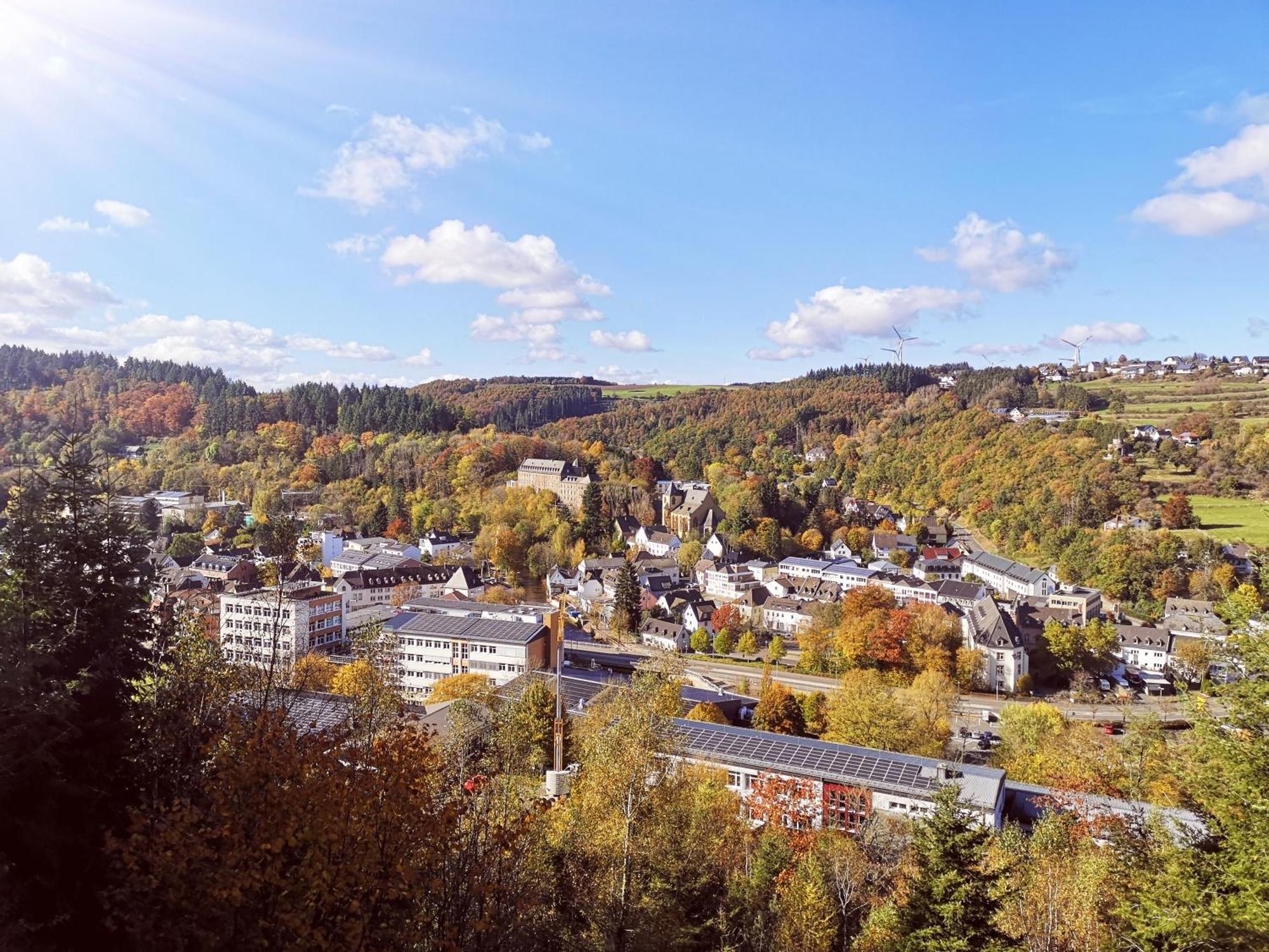 Ferienwohnung Eifelblick Schleiden Exterior foto